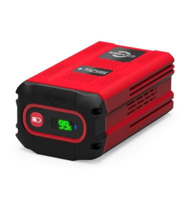 Batterie Cramer 5 Ah tondeuse GRIN 2913386