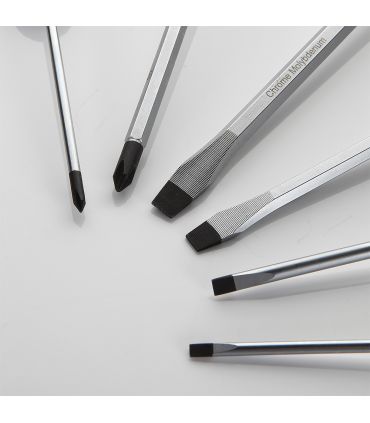 SET DE 6 TOURNEVIS AVEC BOÎTE EN CARTON