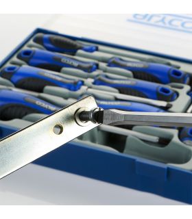 SET DE 10 TOURNEVIS BOÎTIER EN PLASTIQUE