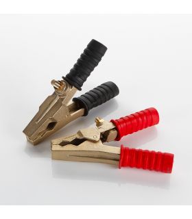 SET DE 2 PINCES EN BRONZE 800 AMP. 100x160 mm