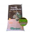 Palette de 10 sacs de 70 l de terreau prêt à l'emploi Fleurissement PAE Florivert NEG01617-10x70