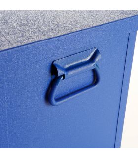 Coffre métallique avec plateau 685x350x332 mm ALYCO 192793