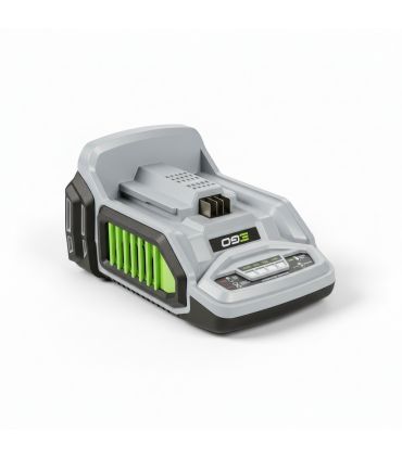 Chargeur rapide de batteries Ego PowerCH5500E