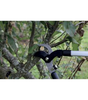 Sécateur 2 mains 680 mm ALYCO 108520