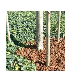 copy ofPaillage végétal biodégradable en écorces de pin maritime 42 sacs 50 L pour 50m2