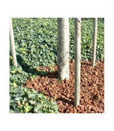 Paillage végétal biodégradable écorces de pin maritime 48 sacs 50 L pour 10m2 - KOM37-48x50