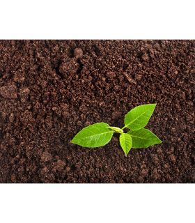 Paillage compost bio d’amendement nutritif 20kg RACINE PRO117