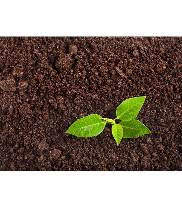 Paillage compost bio enrichisseur du sol 48x20kg RACINE PRO117-48x20