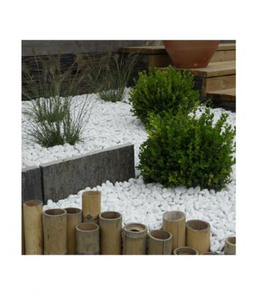 Paillage marbre blanc à éclat décoratif 1000kg RACINE F-PAI006