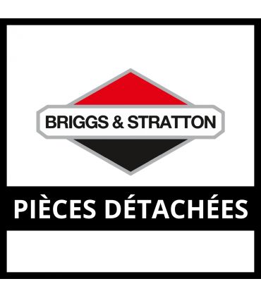 Filtre à air moteur Honda GCV170, BriggsStratton 625, moteur Loncin 196cc sortie verticale VER2838