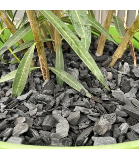 Paillage charbon végétal bio rétention d’eau 10x50L RACINE F-PAI110-10x50