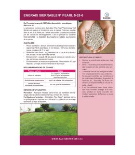 Engrais NPK pour équilibre nutritif 25kg RACINE F-ENG019