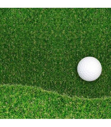 Engrais booster de croissance 25kg RACINE F-ENG025