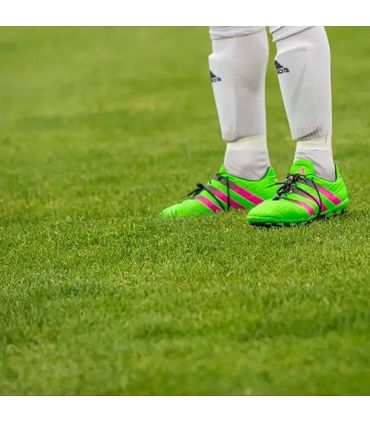 Engrais pour développement racinaire 25kg RACINE F-ENG031