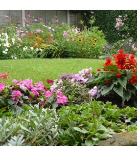 Engrais pour développement racinaire 25kg RACINE F-ENG031