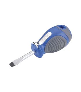 Tournevis plat 5,5 x 1 x 38 mm ALYCO 119012