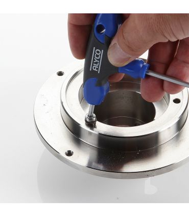 Manche en t pointe torx inv t50 ALYCO 195350