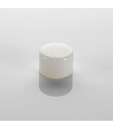 Embout nylon p/ maillet 28 mm ALYCO 196701