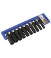 Set 10 douilles longues percussion 1/2 10-22mm ALYCO 198258