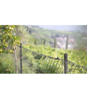 Connecteur T pour Geyser