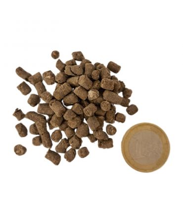 Engrais organique Flori Or Humus 25 kg 100% naturel, pour potagers et plantations - Florivert NEG01809