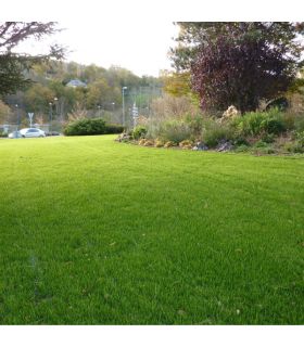 Engrais organique Flori Or Humus 25 kg 100% naturel, pour potagers et plantations - Florivert NEG01809