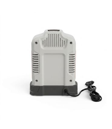 Chargeur rapide 62V 4A pour batterie DAEWOO DALCH62-4A