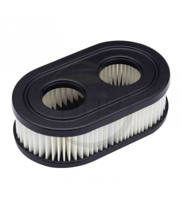 Filtre à air moteur Briggs & Stratton 798452 / 593260 - Adaptable - Moteurs 550E, 575EX, 550EX, ECO PLUS