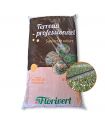 Pack de 10 sacs de terreau français pour plantes vertes et fleurs Flori Horticole 70L NEG01644-10x70