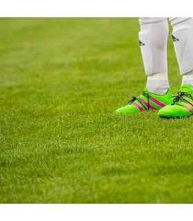 Substrat top dressing spécial sol sportif, 10 sacs de 20 litres - PRO57-10x20