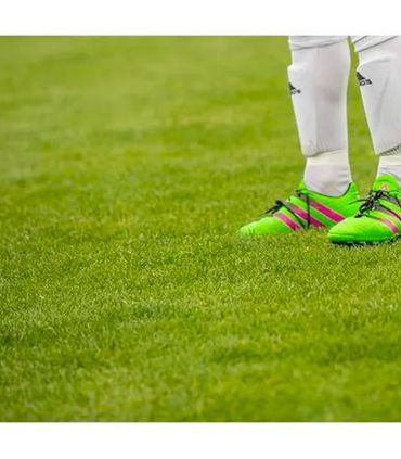 Substrat top dressing spécial sol sportif, 10 sacs de 20 litres - PRO57-10x20