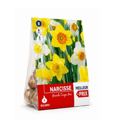 Narcisses en mélange Sgaravatti 8 bulbes, floraison printanière colorée à planter en automne - 618084