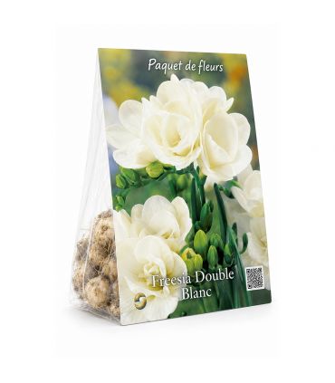 Freesias doubles blancs Sgaravatti 10 bulbes, floraison printanière élégante idéale en massif et bouquet - 802492