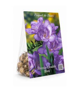 Freesias doubles bleus Sgaravatti 10 bulbes, floraison printanière colorée idéale en pot et bouquet - 802461