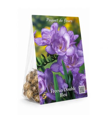 Freesias doubles bleus Sgaravatti 10 bulbes, floraison printanière colorée idéale en pot et bouquet - 802461