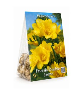 Freesias doubles jaunes Sgaravatti 10 bulbes, floraison lumineuse au printemps pour massifs et bouquets - 802508