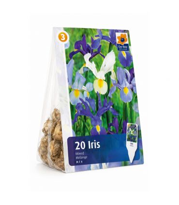 Iris Hollandica Sgaravatti 20 bulbes en mélange, floraison printanière idéale en massif, pot et bouquet - 617434