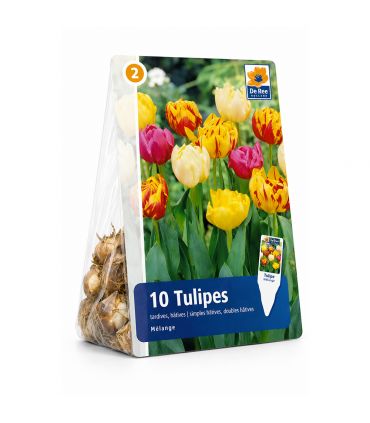 Tulipes doubles Sgaravatti 6 bulbes en mélange, fleurs généreuses à l’aspect de pivoine pour massifs - 617124