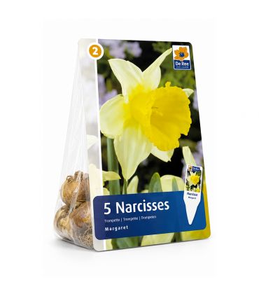 Narcisse Magnet Sgaravatti 5 bulbes blancs à trompette jaune, floraison contrastée pour massifs et bouquets - 617251