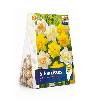 Narcisses doubles Sgaravatti 5 bulbes en mélange, fleurs généreuses pour une floraison printanière colorée - 617522