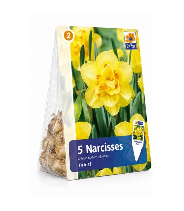 Narcisse Tahiti Sgaravatti 5 bulbes jaunes à cœur orange, fleurs doubles décoratives au printemps - 617273