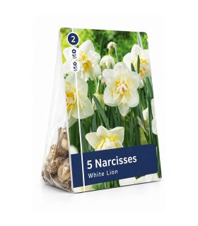 Narcisse White Lion Sgaravatti 5 bulbes blancs à cœur jaune, fleurs doubles décoratives pour massifs et bouquets - 617274