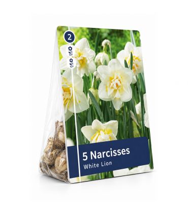 Narcisse White Lion Sgaravatti 5 bulbes blancs à cœur jaune, fleurs doubles décoratives pour massifs et bouquets - 617274