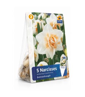 Narcisse Delnashaugh Sgaravatti 5 bulbes blancs à cœur rose, floraison délicate et originale au printemps - 617521