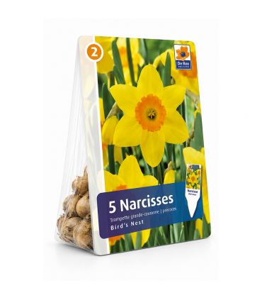 Narcisse Red Devon Sgaravatti 5 bulbes jaunes à couronne rouge, floraison bicolore pour massifs et bouquets - 617263