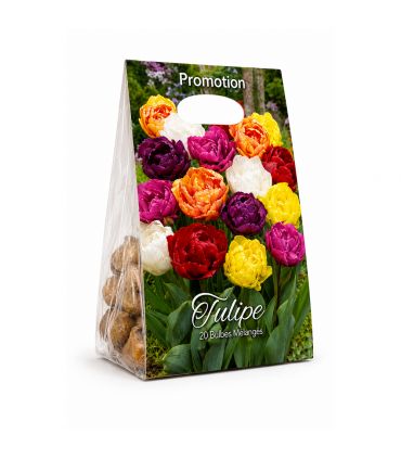 Tulipes doubles Sgaravatti 20 bulbes en mélange, fleurs généreuses à l’aspect de pivoine pour massifs et pots - 786525