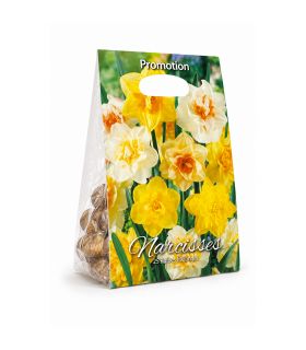 Narcisses doubles Sgaravatti 25 bulbes en mélange, floraison printanière généreuse pour massifs et bouquets - NAR81
