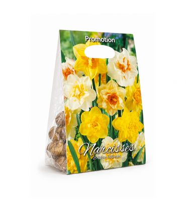 Narcisses doubles Sgaravatti 25 bulbes en mélange, floraison printanière généreuse pour massifs et bouquets - NAR81