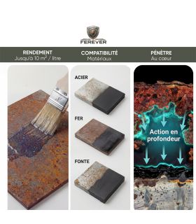 Convertisseur de rouille 0,5L longue durée, séchage rapide - FEREVER CV01 