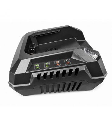 Chargeur rapide pour batterie lithium 40V Texas outils sans fil